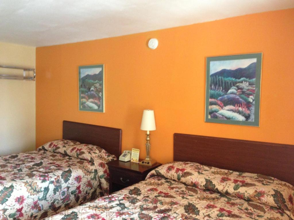 Cadet Motor Inn - Coldwater Pokój zdjęcie